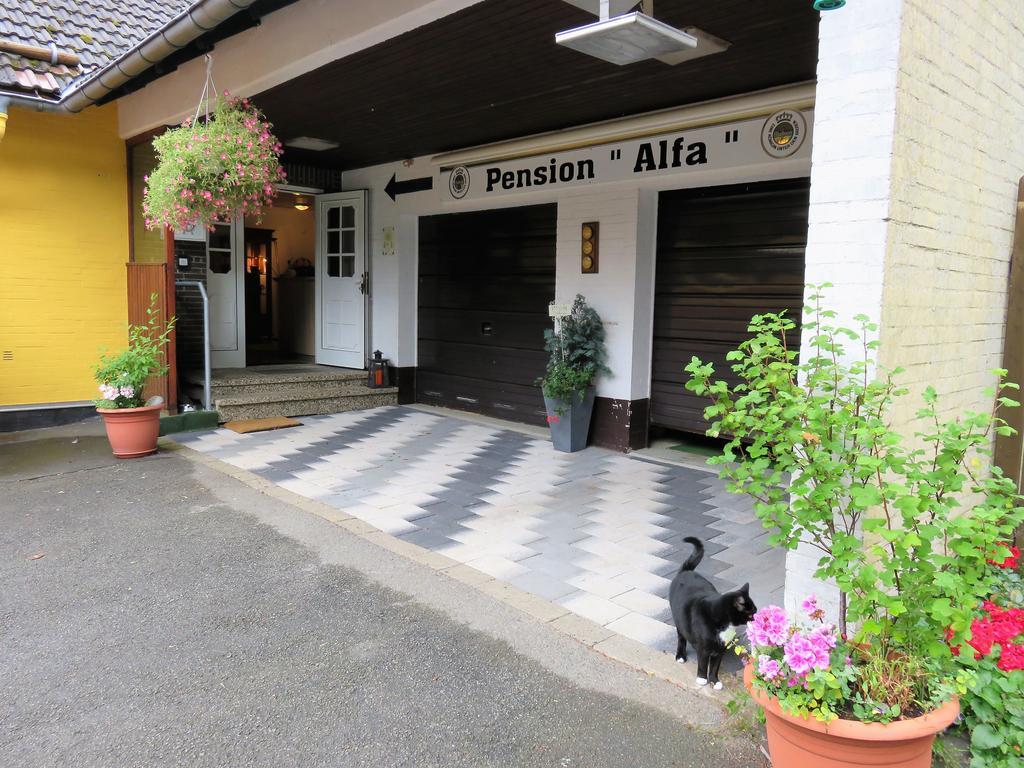 Pension Alfa Sankt Andreasberg Exterior photo